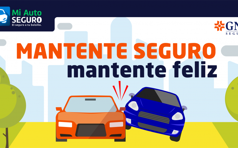 Octubre 17 Mi Auto Seguro