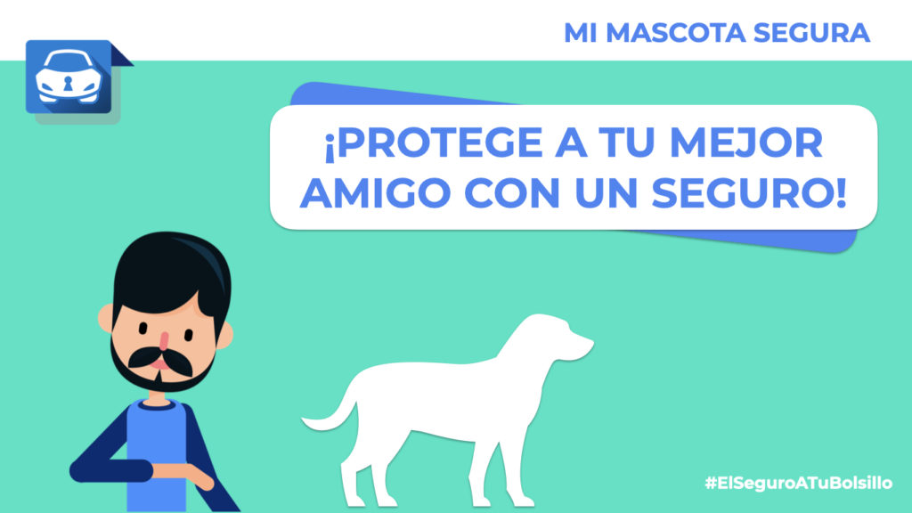 ¿cómo Puedo Proteger A Mi Perro Con Un Seguroemk 8767