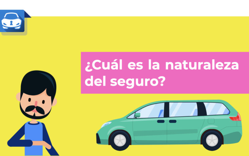 Video: ¿Sabes qué función tienen los seguros en la sociedad?