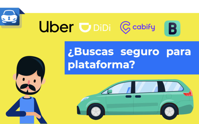 ¿Necesitas seguro para plataforma y no sabes dónde te conviene contratarlo?