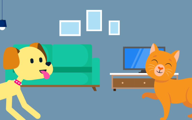 Perro o gato ¿Cuál es la mejor mascota para tener en casa?