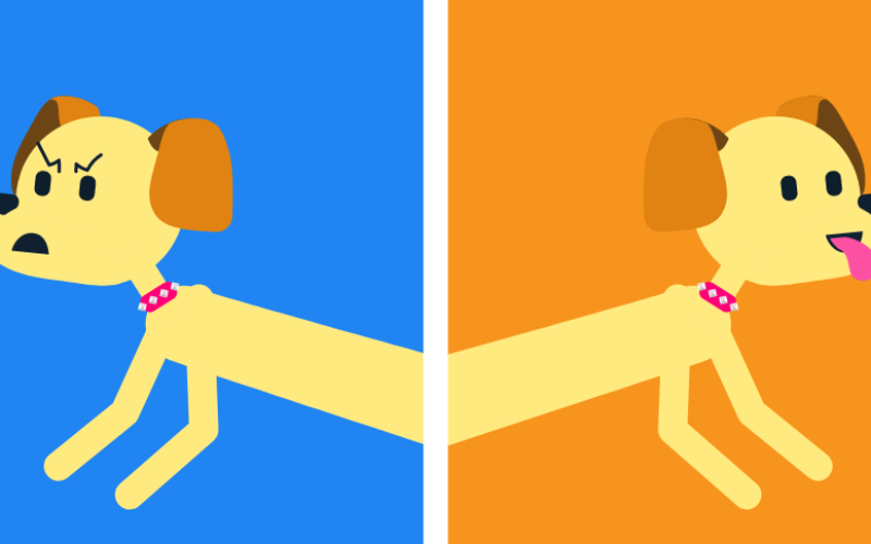 ¿Cómo es la personalidad de tu perro?