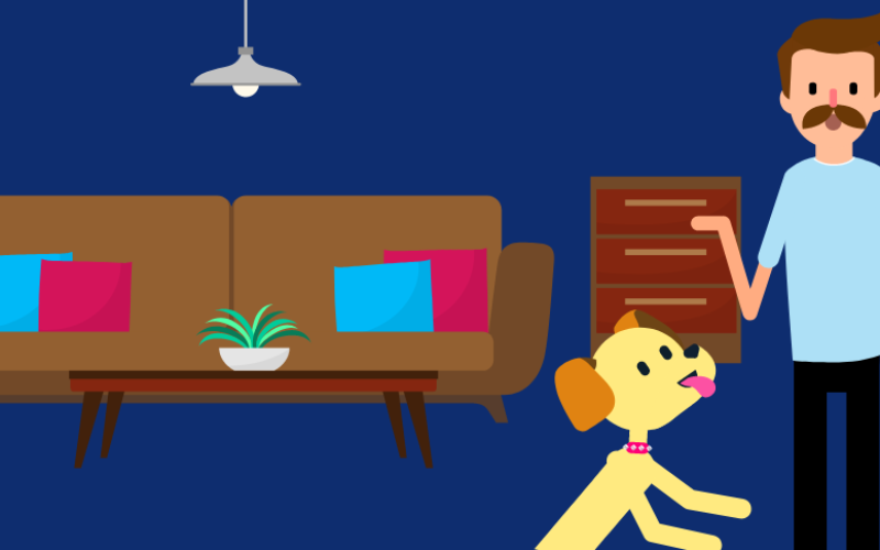 ¿Cómo educar a tu perro dentro de la casa?