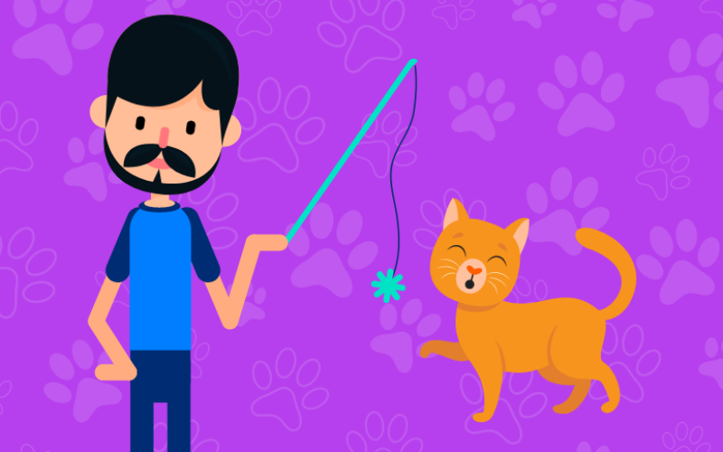 ¿Qué juegos puedes hacer con tu gato?