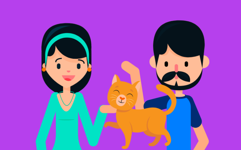 ¿Cómo los gatos eligen a su persona favorita?