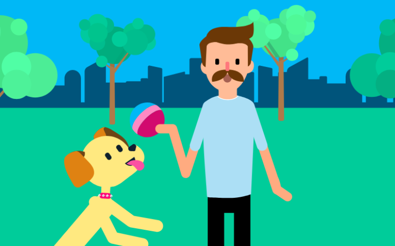 ¿Qué juegos puedes hacer con tu perro?