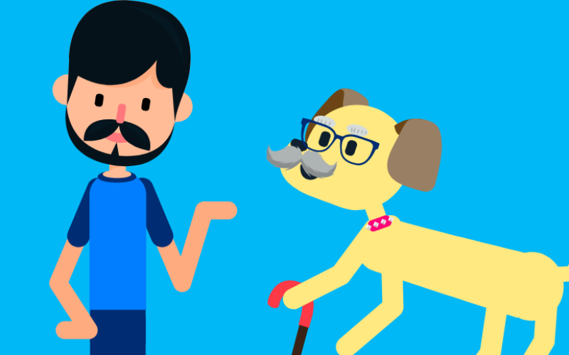 ¿Cómo cuidar mejor a tu perro adulto mayor?